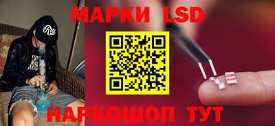 ПСИЛОЦИБИНОВЫЕ ГРИБЫ Кулебаки