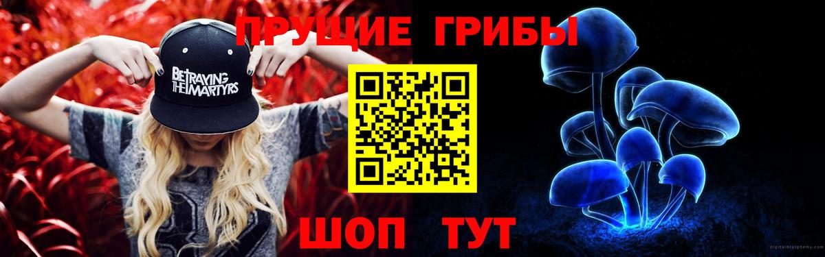 Псилоцибиновые грибы Psilocybe Балашов